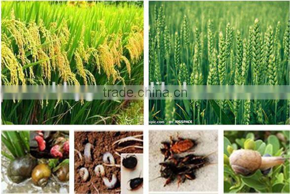 Tea Seed Meal/Cake/Powder for Aquaculture, Organic Fertilizer, Eco-pesticides, etc.