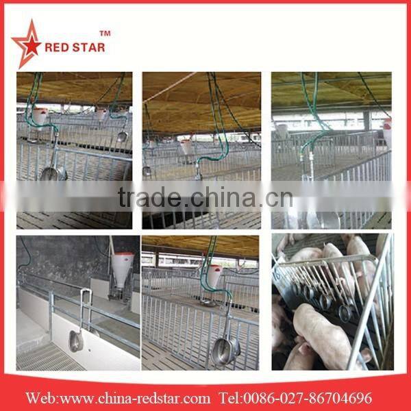 Stainless steel pig upright bowl waterer