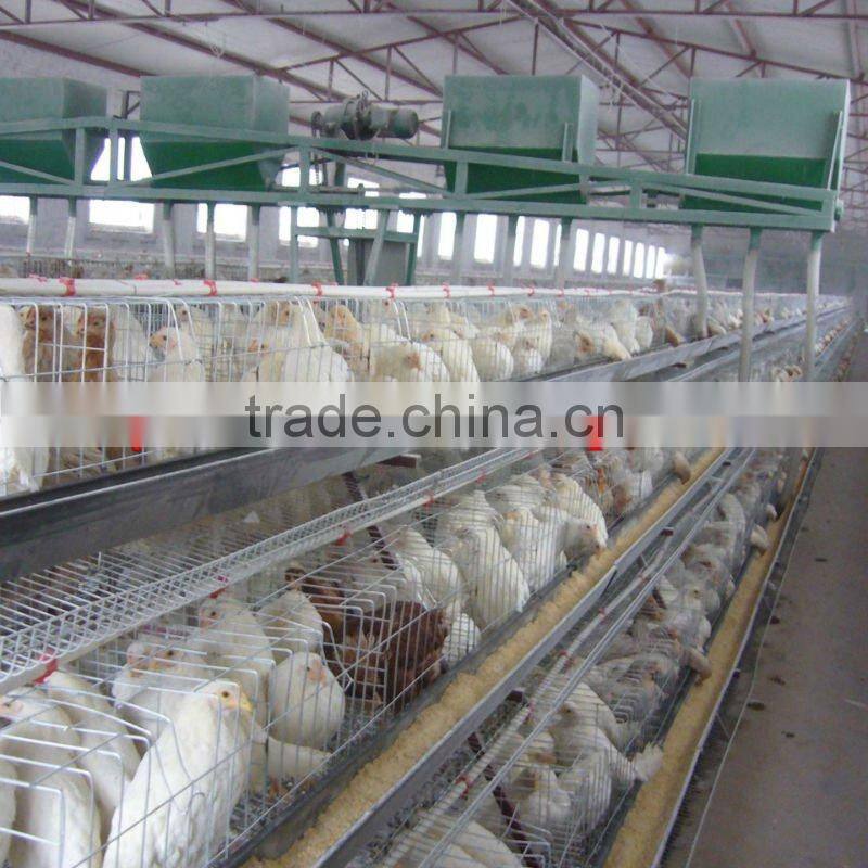 China/Chinese poultry farm cage