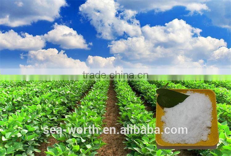 Best sell ammonium sulfate salt for potato with competitive price