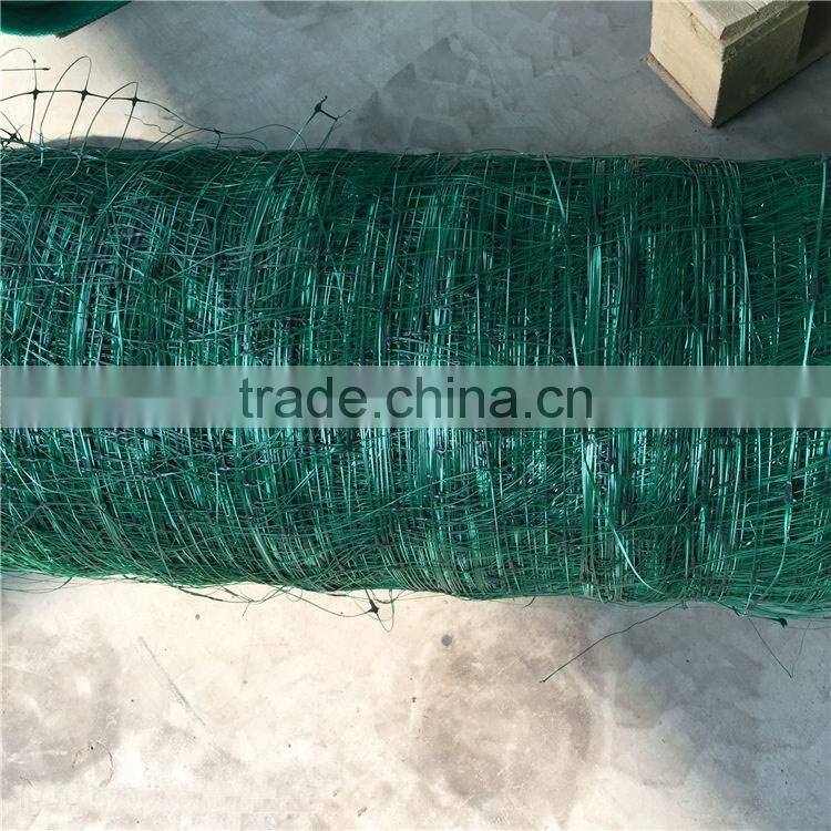 Plant cucumber support netting