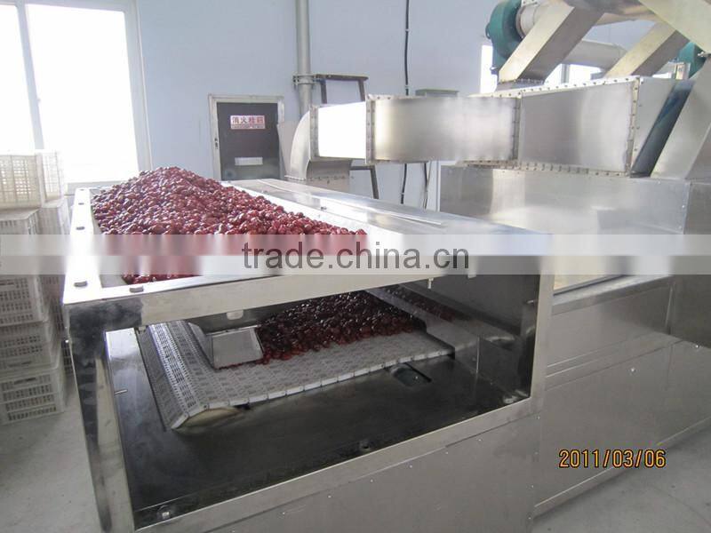 Industrial tunnel type microwave red dates dryer & sterilizer