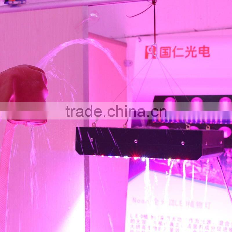 600W full spectrum two switches for veg and bloom led indoor grow light