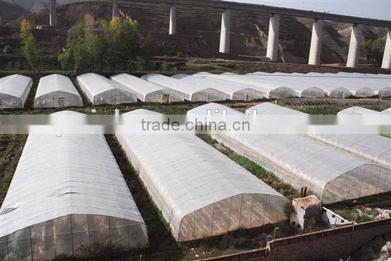 Modern agriculture greenhouse hot sale