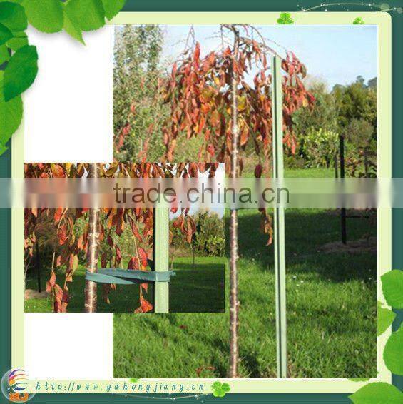 2016 for recycled plastic plant support