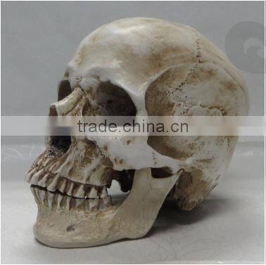 Halloween Decoration Carevd Resin Skull Sculpture