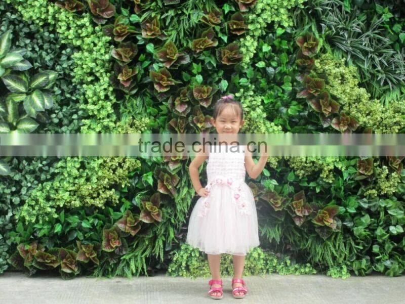 2016 new line green wall for fashion show plants green wall