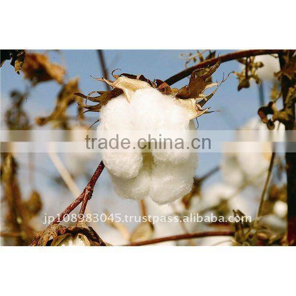 Organic Towel made in Japan hotel supplies Towels Japanese