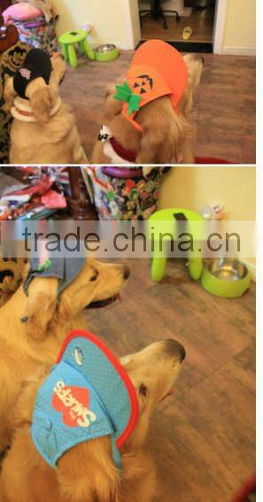 pumpkin base ball cap for dog , dog pumpkin base ball cap,pumpkin dog hat