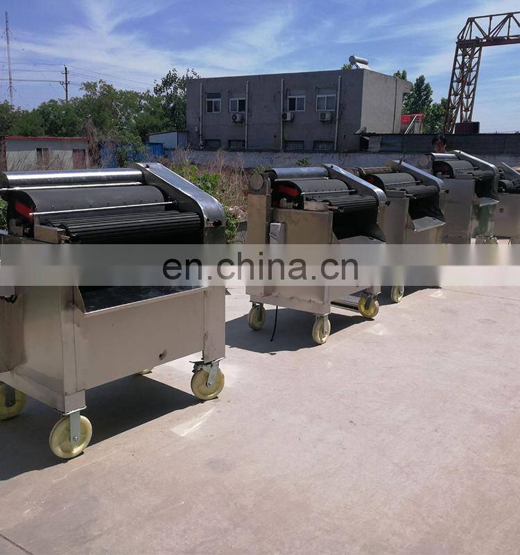 Farm Use Intestinal Scraper / Scraping Intestine Machine / Intestine Washing Machine