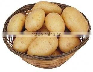 220V Stainless steel automatic potato peeler, potato peeler prices, rotating potato peeler