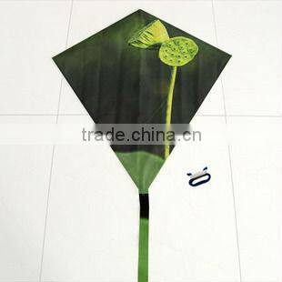 plastic kites