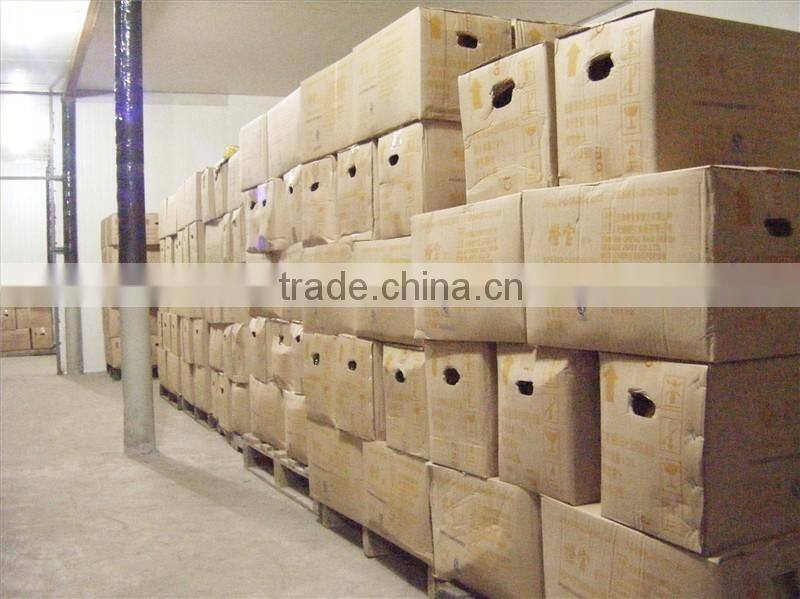 cheap High efficiency LED Ultraviolet solar mosquito killer lamp LED bug killer lamp