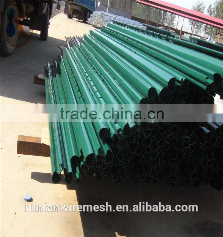 Double wire mesh fence/Pvc coated twin wire 868 fence panel/green or black color twin wire Sport Mesh Fence ( Manufacturer )