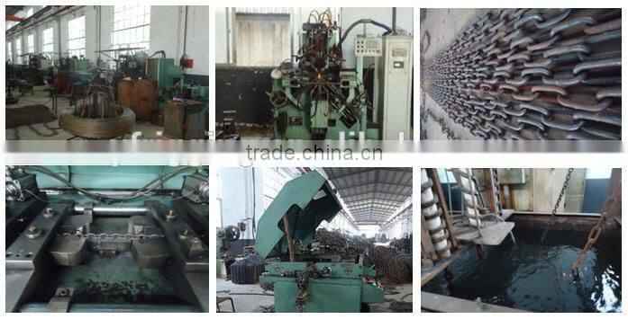 Stainless Steel DIN763 Link Chain