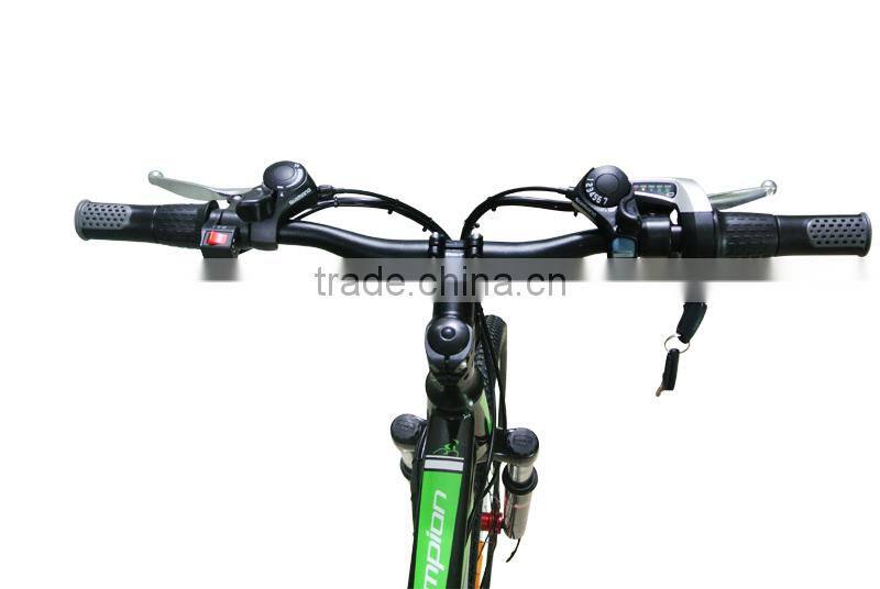 Best sellng dusc break 160 disc break tow wheels stand up electric mountain bike
