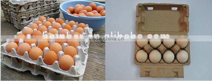 bottle service tray molding machine from paper pulp