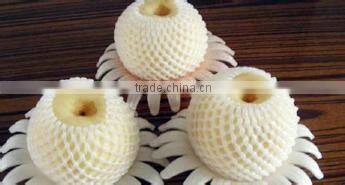 EPE Foam banana protective cover extruder Machine