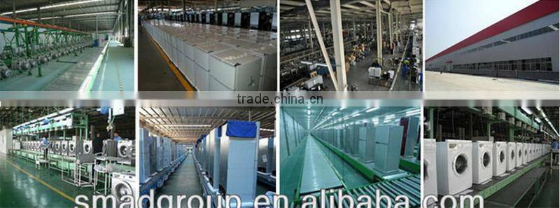 Portable plastic 2 tubs top loading washing machine