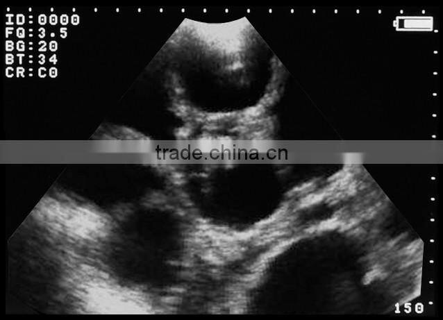 small size 0.3kg handheld Vet/pets Ultrasound Machine for swine and ovine pregnancy diagnostics