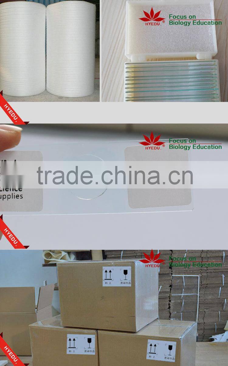 High quality 18pcs blood test prepared slides set