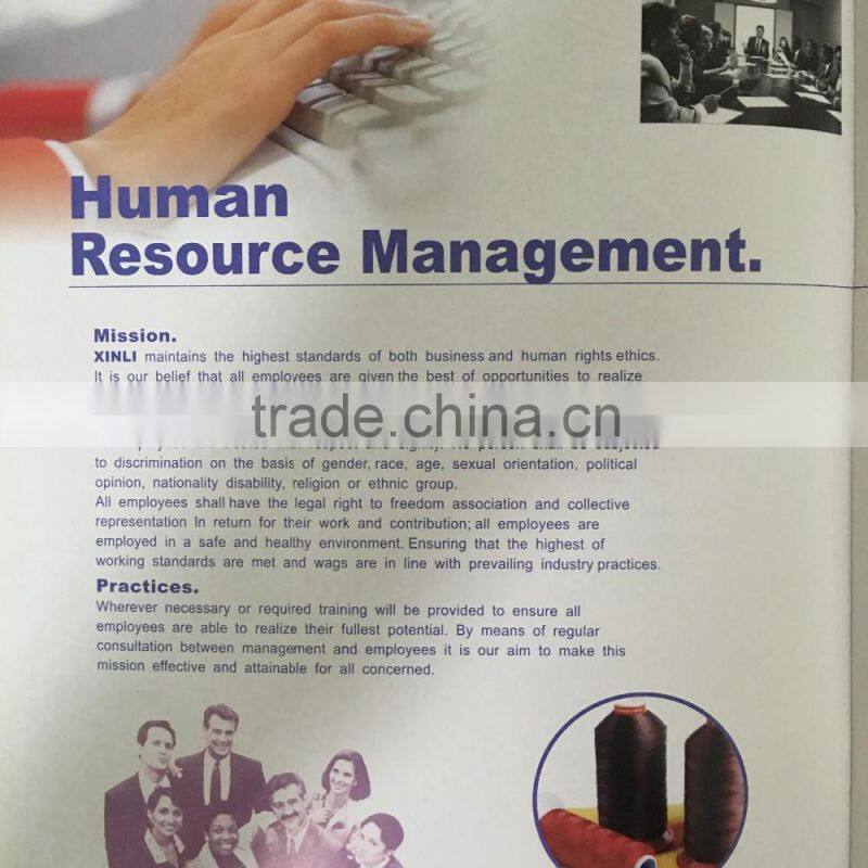 Top quality Cheapest 100% thick nylon thread for leather sewing