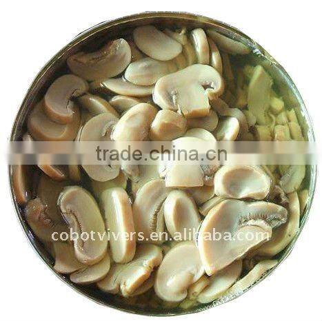 canned fresh vegetable bamboo shoots