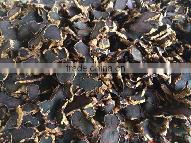 Dried Thai herbal Kaempferia Parviflora Black Ginger Root