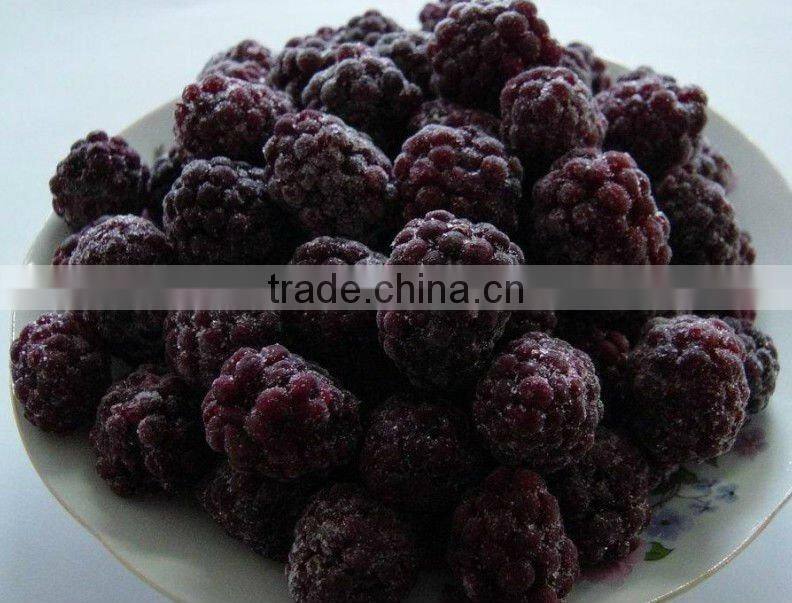 supply IQF Blackberries