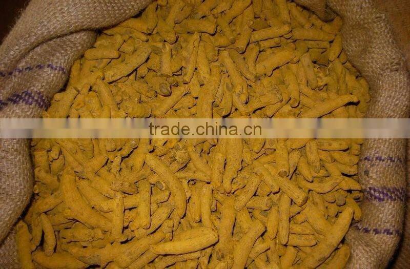 Exporters of Dry Turmeric Premium quality
