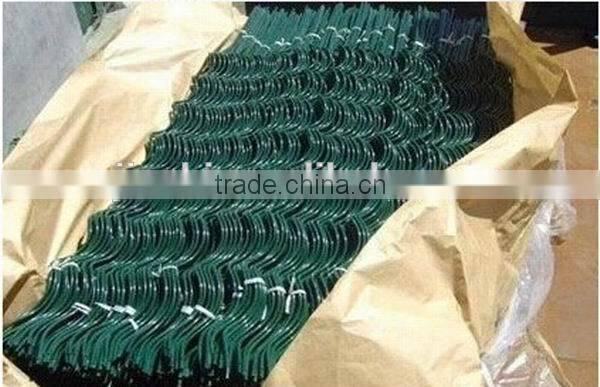 Tomato Trellis Supports