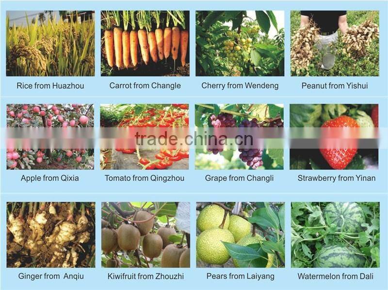 NPK type seaweed extract fertilizer For golf lawn