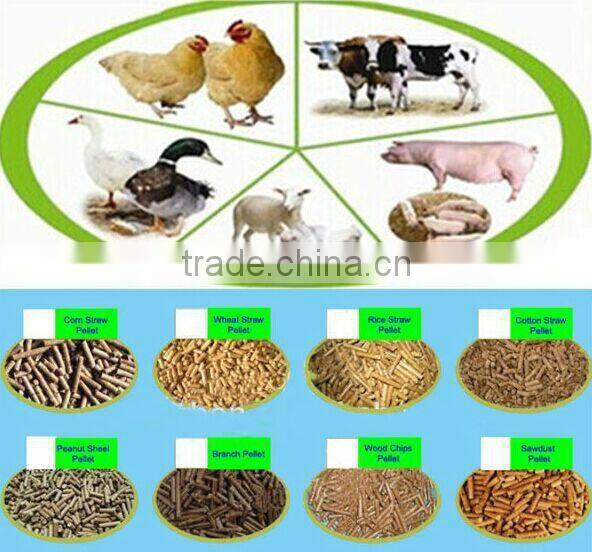 CE approved 2.2kw hammer mill crusher hammer mill feed grinder /sawdust hammer mill