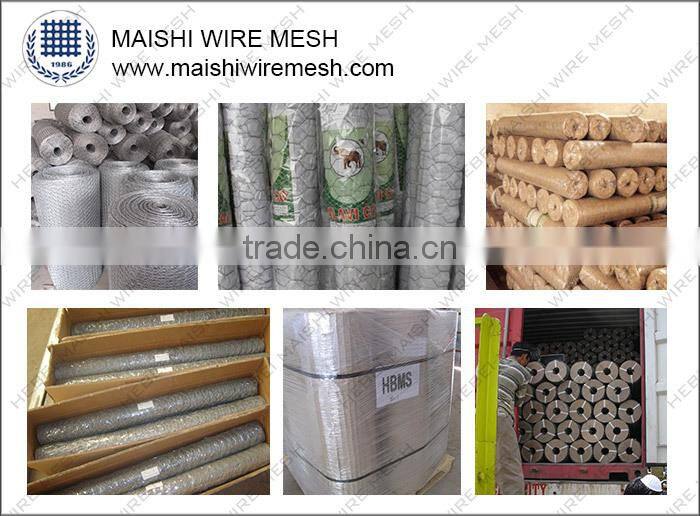 Hebei Factory Galvanized Chicken Wire