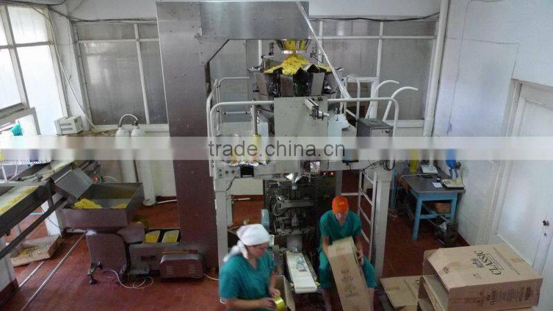 China small scale industries potato chips machine snack making machine