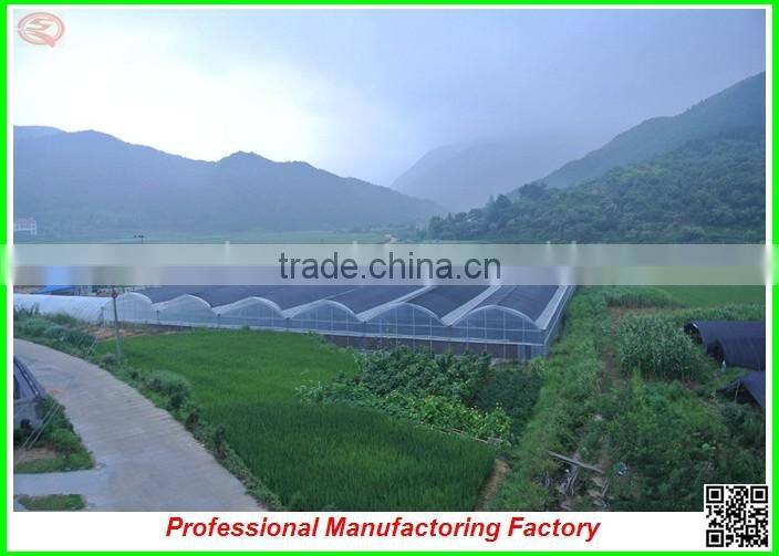 Low cost arched type multi-span vegetable greenhouses with hydroponics system