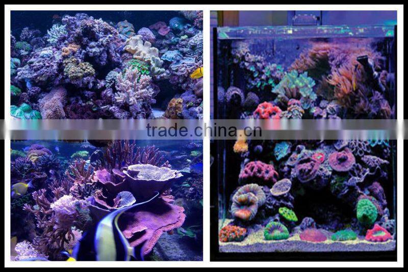 Three Channel Twlight Group New LED Aquarium Light