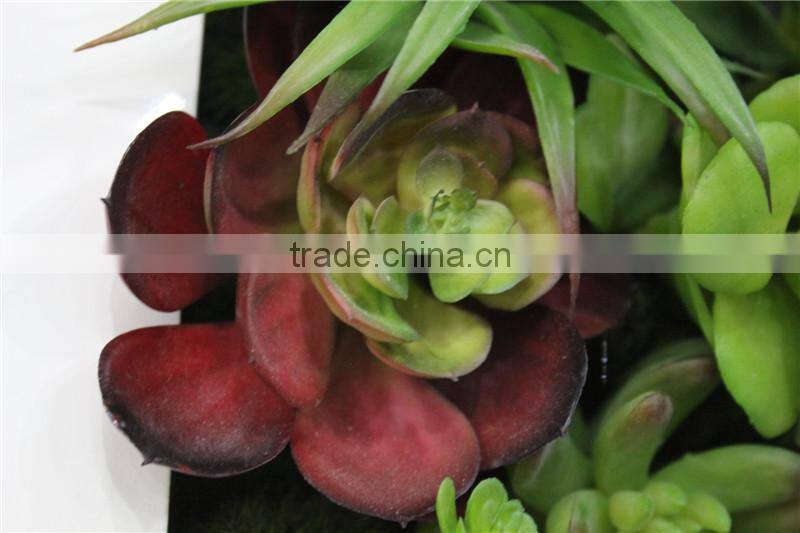 for home garden tiles deco 30*30*7cm paint color indoor artificial succlent boutique plant wall laminate combinations Ejq10 1202