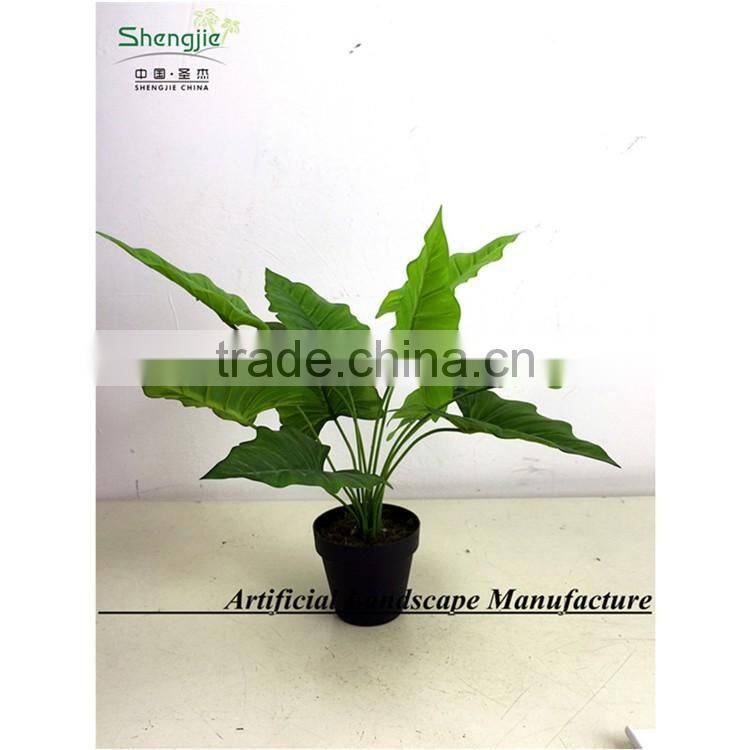 SAS201603 China Supplier Artificial Greenery Plant,Indoor Fake Ornamental Foliage Plant