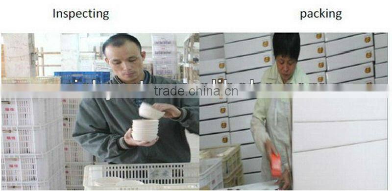 delicate owl figurine for decoration