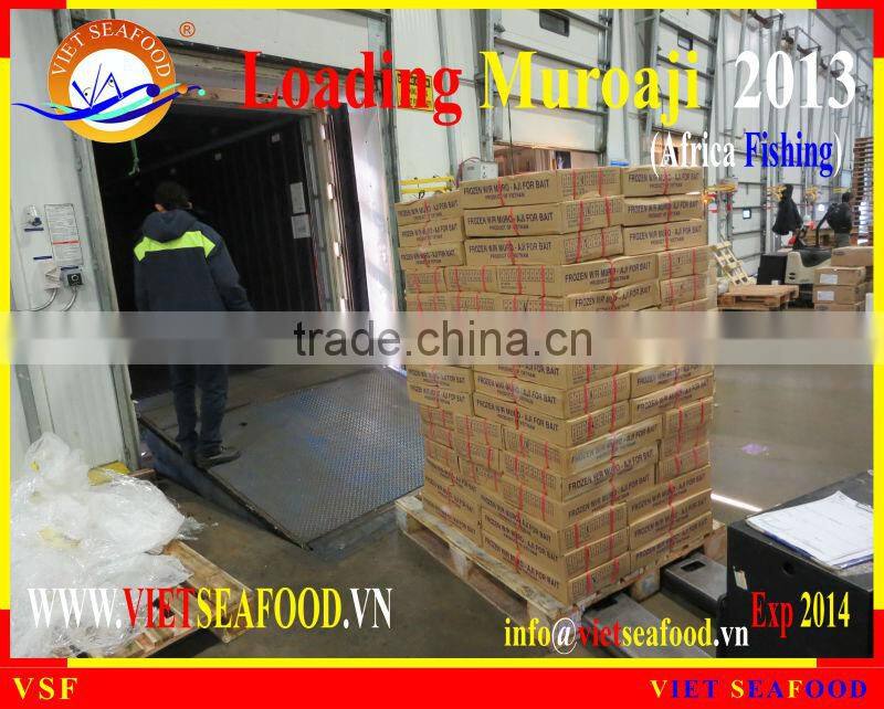 LOADING MUROAJI FOR TUNA BAIT