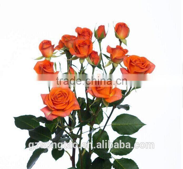 Latest artifiicial rose mixed rose flower table decorations centerpieces wedding