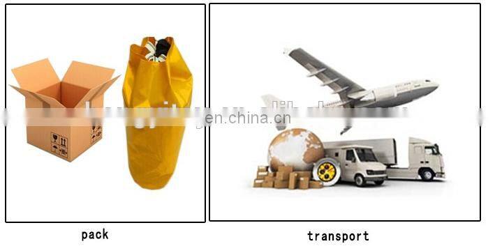 Outdoor Clear Inflatable Bubble Tent / PVC Camping Transparent Tent / Inflatable Lawn Bubble Lodge Tent For Sale