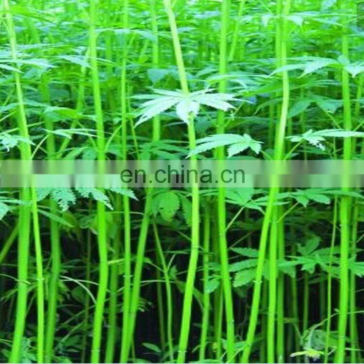 banana stem decorticator Jute Decorticating Pineapple leaf Peeling Machine