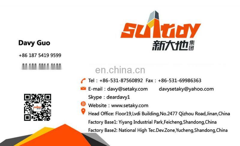 China factory made 505R5 RDP re-dispersible latex dispersion powder supplier RPP 5010N high strength