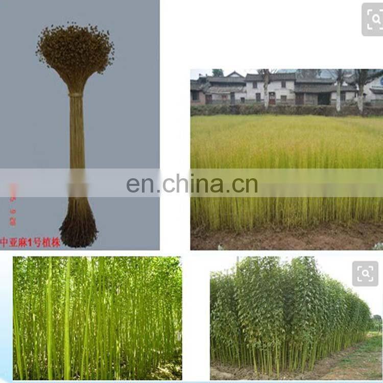 Automatic fiber extracting machine /hemp stalk decorticator