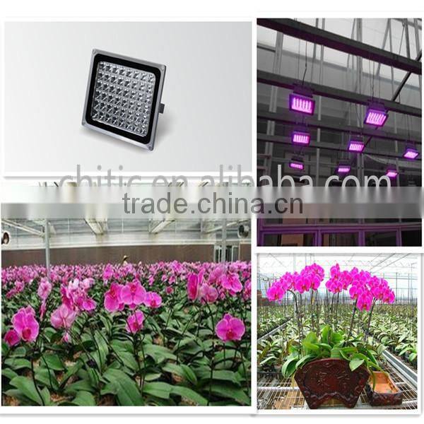 20W Greenhouse LED Plant Light for Growing Tomato, Lettuce, Vegetable, Flower, Orchid, Medicinal Plants
