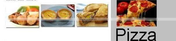 PA12L PERFORNI professional new design 220V/380V pizza deck oven made in china