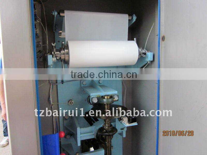 Large bag packing machine