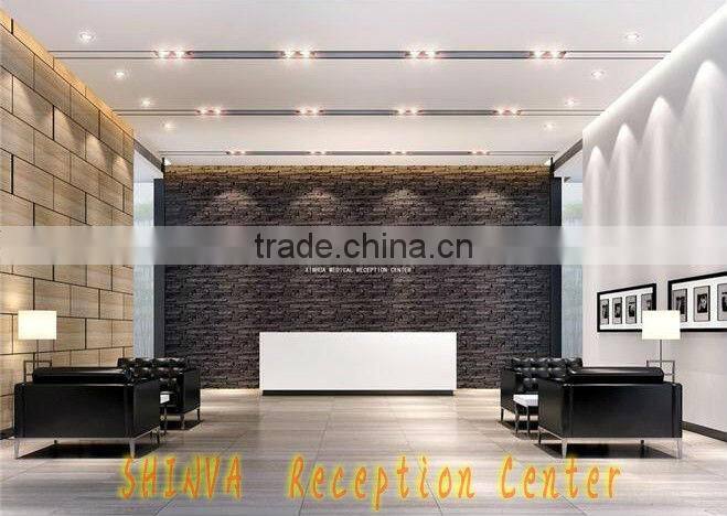 SHINVA Quick-A-60 Automatic Flusher-Disinfector (CE/ISO certified)